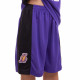Форма баскетбольна дитяча NBA клуб Los Angeles Lakers 23 S-2XL кольори в асортименті
