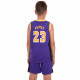 Форма баскетбольна дитяча NBA клуб Los Angeles Lakers 23 S-2XL кольори в асортименті