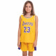 Форма баскетбольна дитяча NBA клуб Los Angeles Lakers 23 S-2XL кольори в асортименті