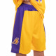 Форма баскетбольна дитяча NBA клуб Los Angeles Lakers 23 S-2XL кольори в асортименті