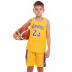 Форма баскетбольна дитяча NBA клуб Los Angeles Lakers 23 S-2XL кольори в асортименті