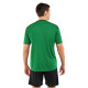 Форма футбольна комплект футболка та шорти Joma PHOENIX XS-2XL зелений-чорний