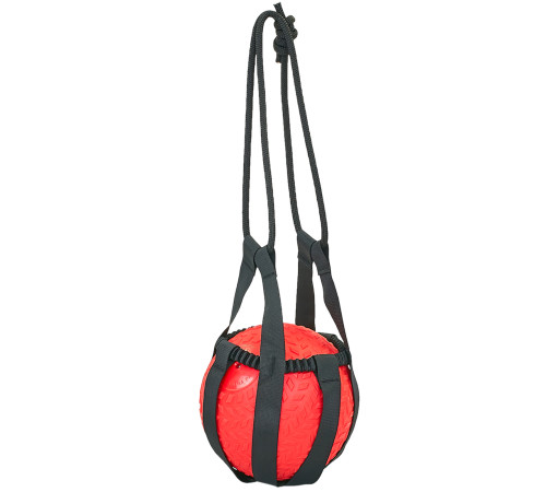 Слинг для медболов Tornado Ball Bag Zelart черный