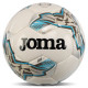 Мяч футбольный Joma DALI IV №5 белый-серый