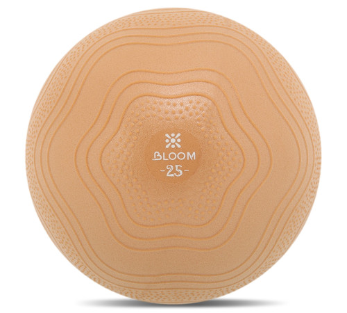 Мяч для пилатеса и йоги BLOOM MINI PILATES BALLl 25см цвета в ассортименте